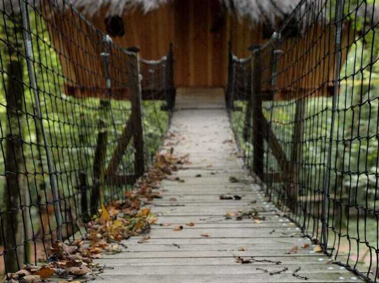 בית מלון כפרי L'arbre à Cabane