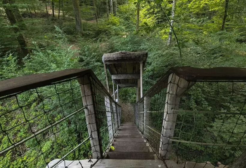 Hotelli L'arbre à Cabane