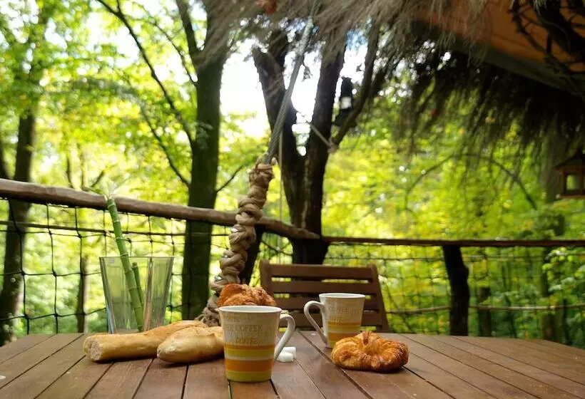 Hotelli L'arbre à Cabane