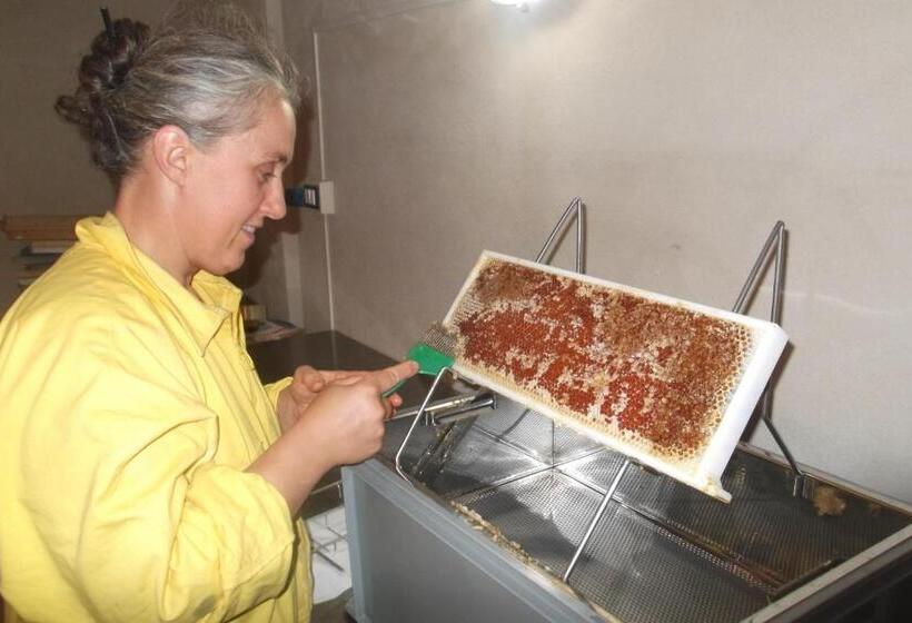 Сельский отель Agriturismo Di Charme E Ristorante Stallato Il Filo Di Paglia