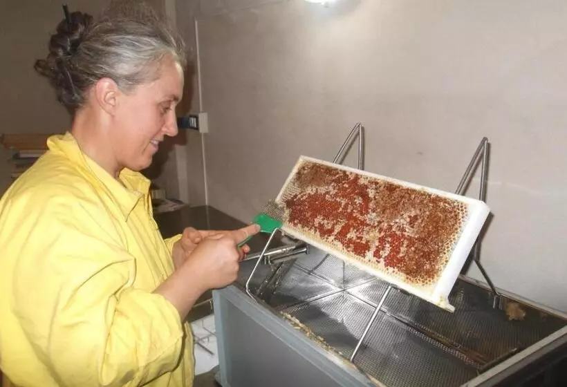 田舎風ホテル Agriturismo Di Charme E Ristorante Stallato Il Filo Di Paglia