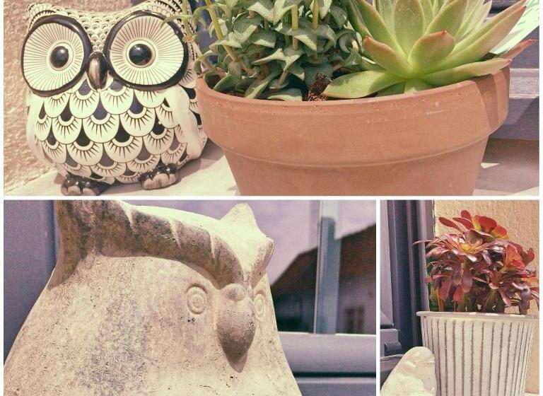 La Ferme D Antan Baie De Somme