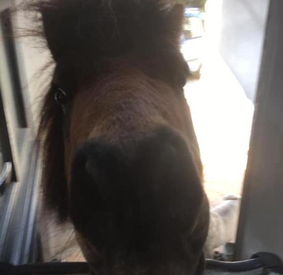 Manoir Le Mingreaud Chambres D Hôtes