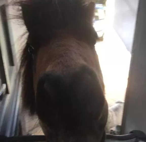 Manoir Le Mingreaud Chambres D Hôtes