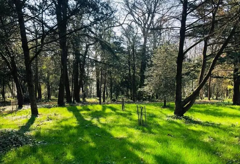 Manoir Le Mingreaud Chambres D Hôtes