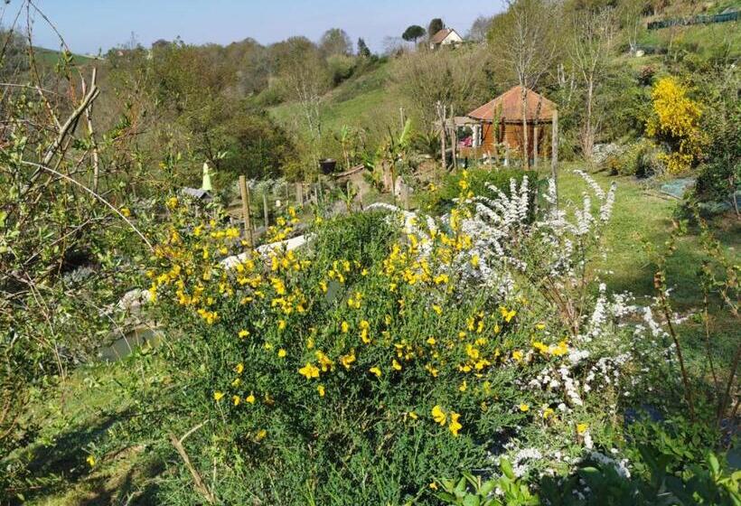 膳宿费 Chalet Studio Bien Hetre