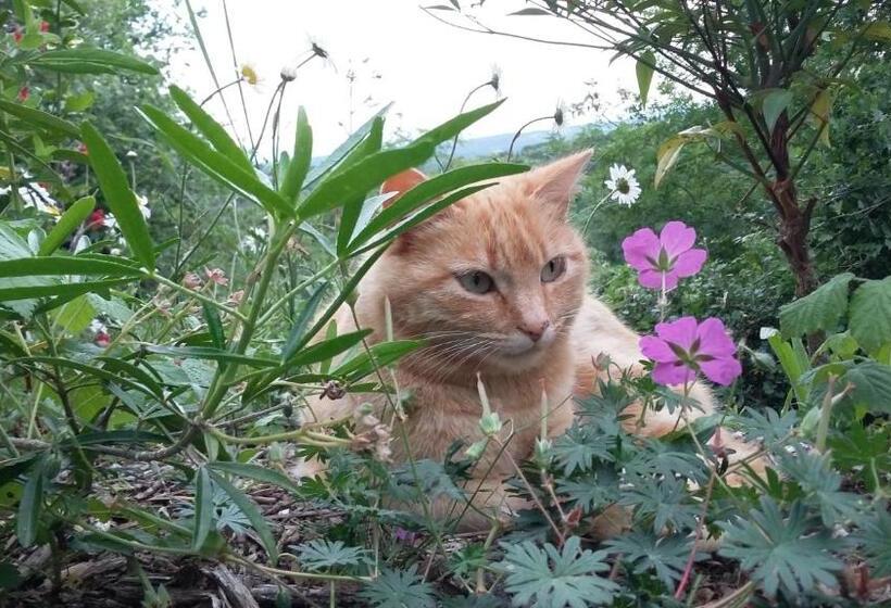 膳宿费 Chalet Studio Bien Hetre