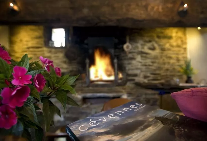 ベッドアンドブレックファースト Le Mas Du Coupétadou