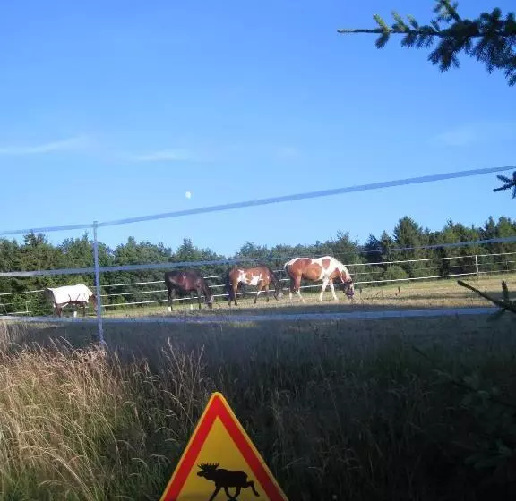 Aamiaismajoitus (B&B) Romantikmühle Heartlandranch