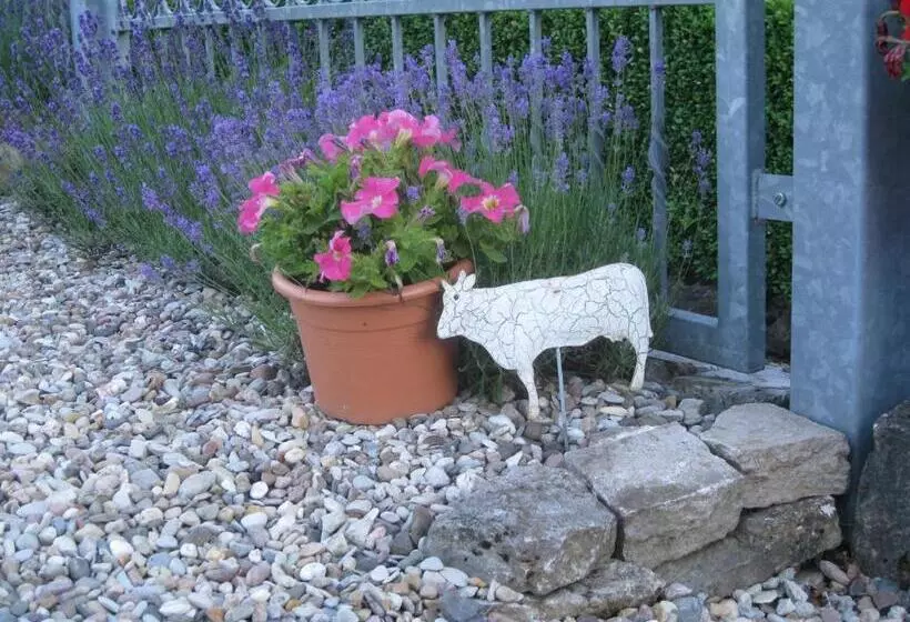 Aamiaismajoitus (B&B) Romantikmühle Heartlandranch