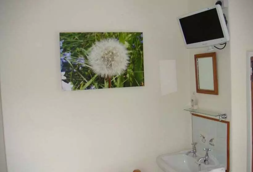 Elm Tree Farm Bed & Breakfast