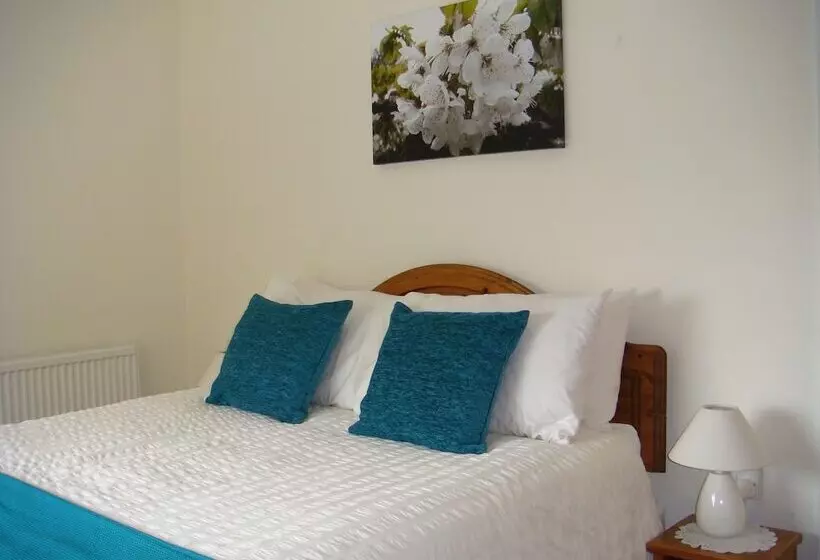 Elm Tree Farm Bed & Breakfast