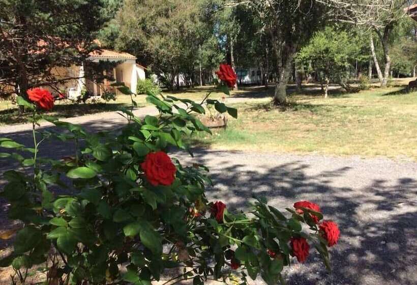 Отель Camping Le Chene Du Lac