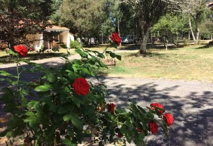 Hotelli Camping Le Chene Du Lac