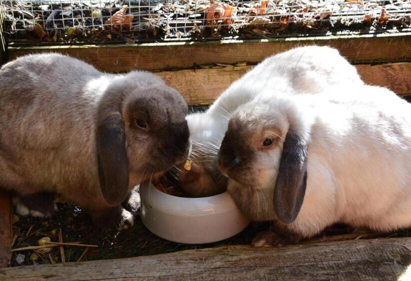 Landgasthof Hotel Rössle