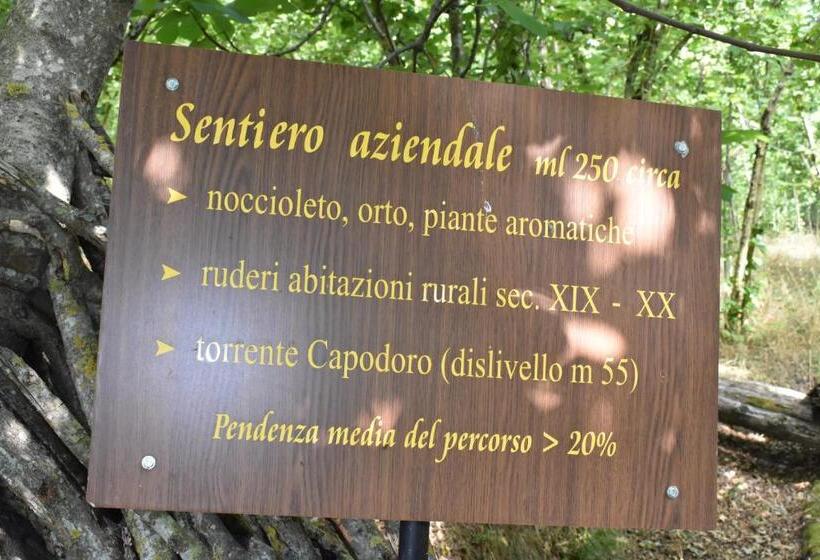 田舎風ホテル Agriturismo Fontanapietra