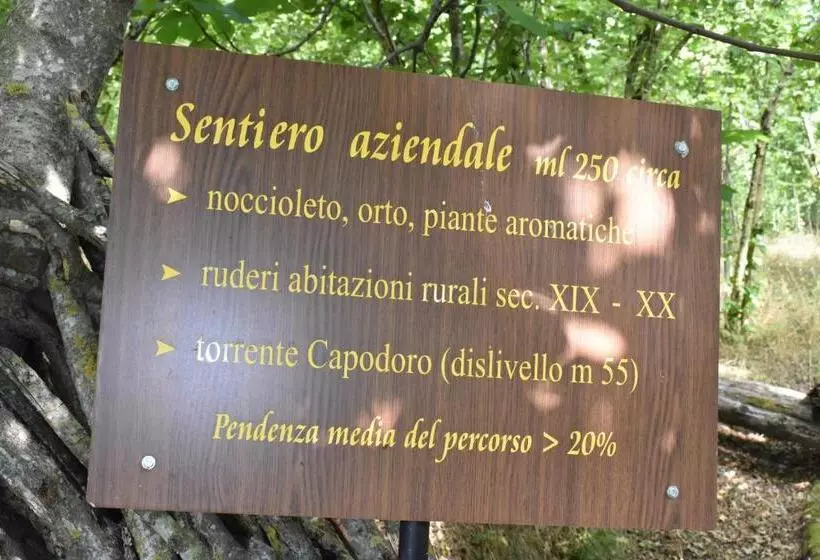 田舎風ホテル Agriturismo Fontanapietra