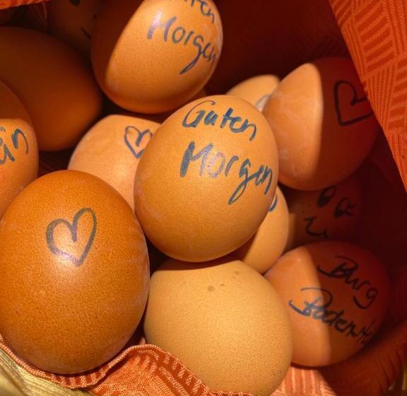 Пансион Burg Bodenstein