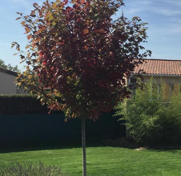 بنسيون Chambres D Hotes Asam