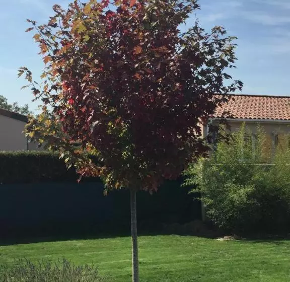 Majatalo Chambres D Hotes Asam