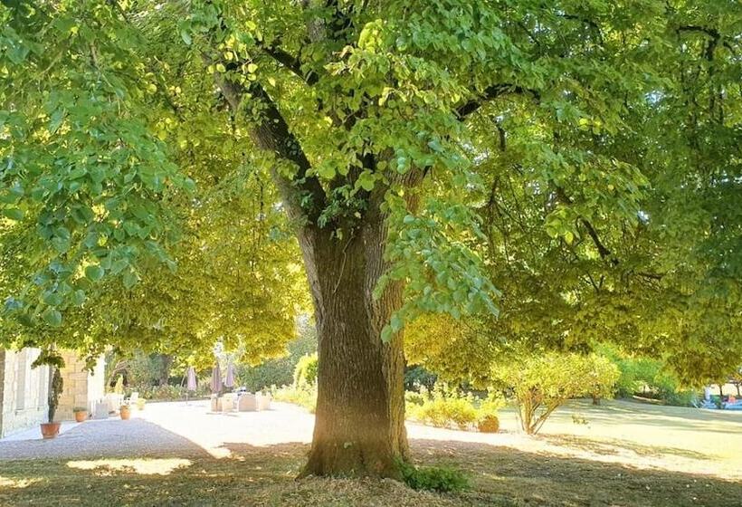 פנסיון Château Lagrave Béchade