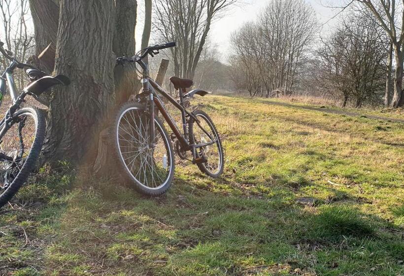 Bed and Breakfast Lyndene