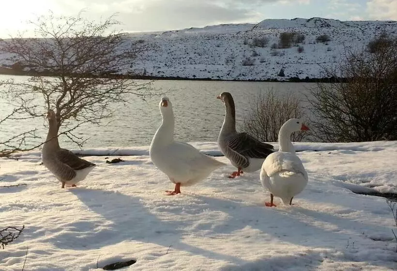 Aamiaismajoitus (B&B) Lyndene