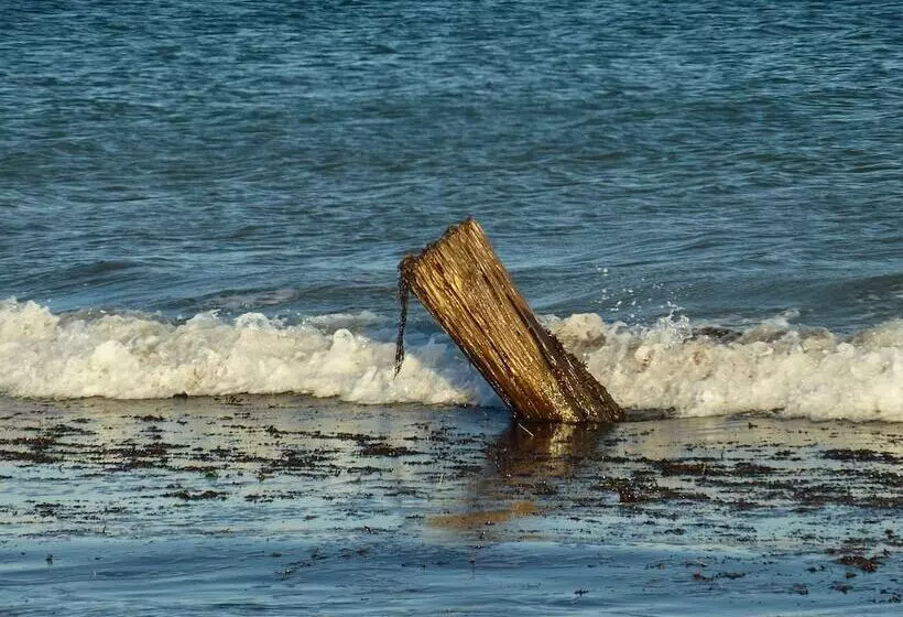 Hotelli Holiday Lifestyle Henty Bay Portland