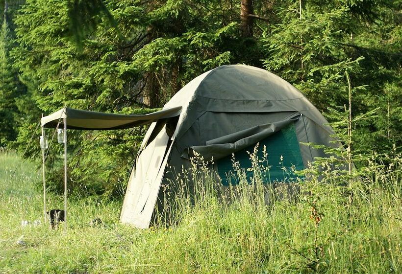 乡村酒店 Linden Tree Retreat & Ranch