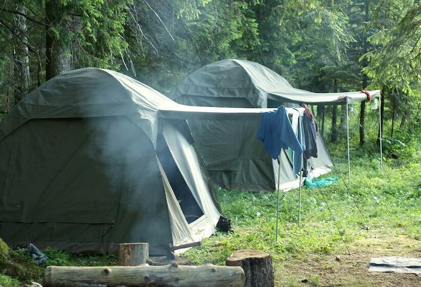 乡村酒店 Linden Tree Retreat & Ranch