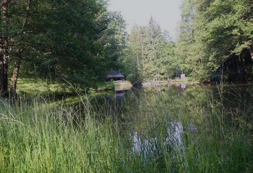 Hotelli Zur Morschbach