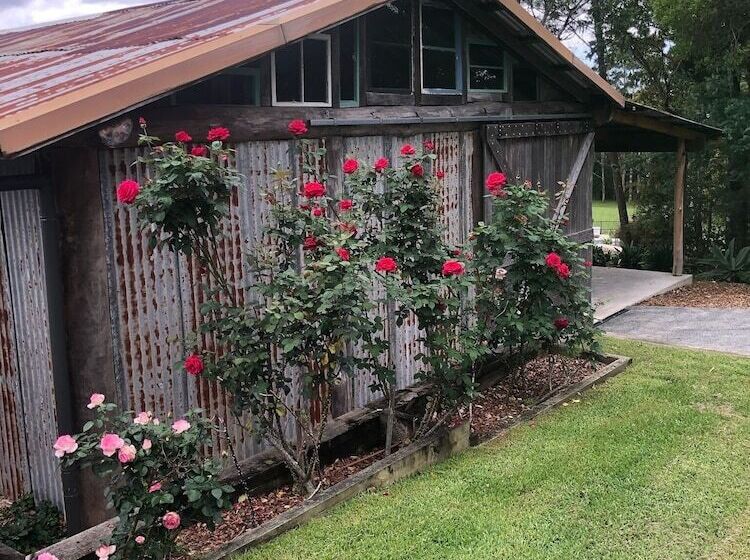 Mansfield On The Manning