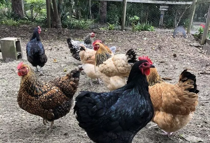 Mansfield On The Manning