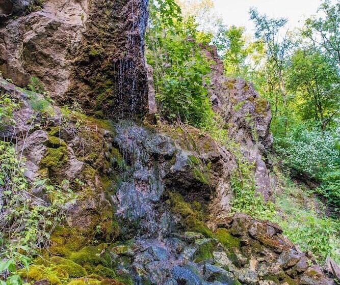 Oko Park Panzió Kemping és Rendezvényközpont