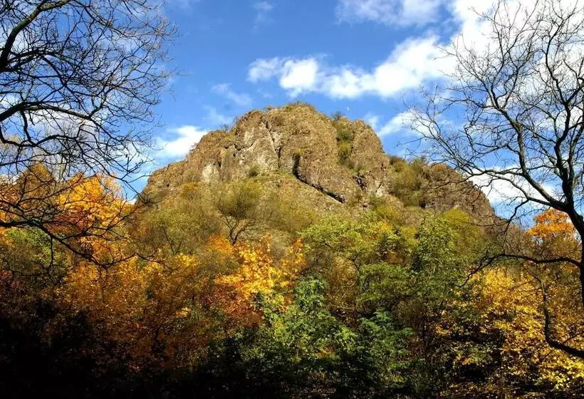 Oko Park Panzió Kemping és Rendezvényközpont
