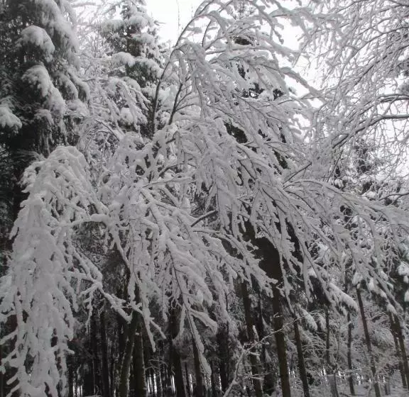 Majatalo B&b Au Fil Des Saisons Sur La Wiels