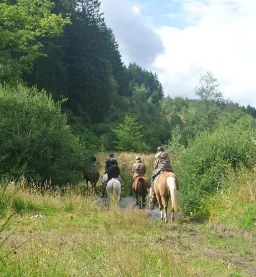 Majatalo B&b Au Fil Des Saisons Sur La Wiels