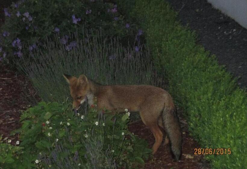 펜션 B&b Au Fil Des Saisons Sur La Wiels