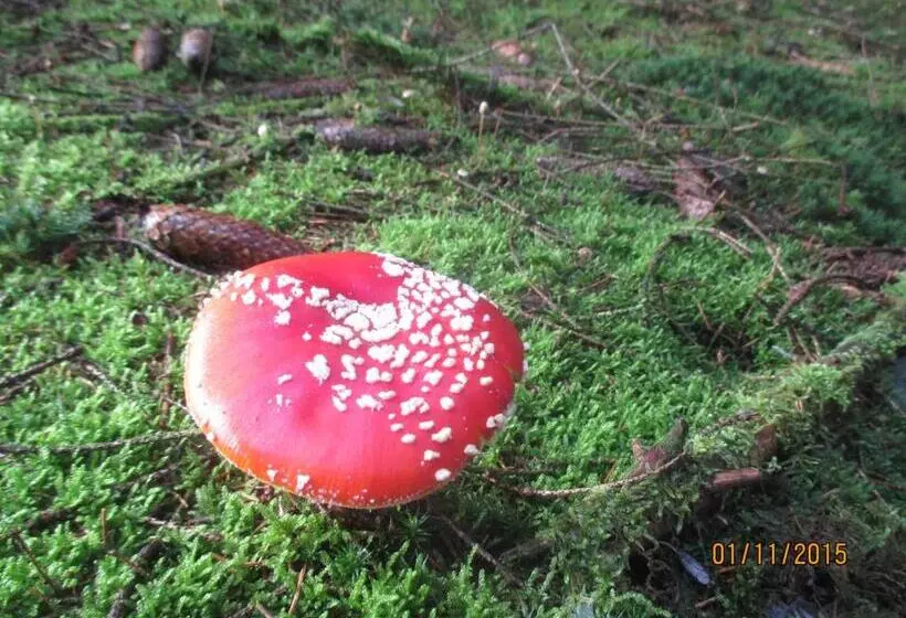 Majatalo B&b Au Fil Des Saisons Sur La Wiels