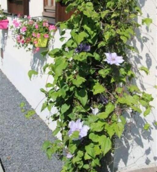 펜션 B&b Au Fil Des Saisons Sur La Wiels