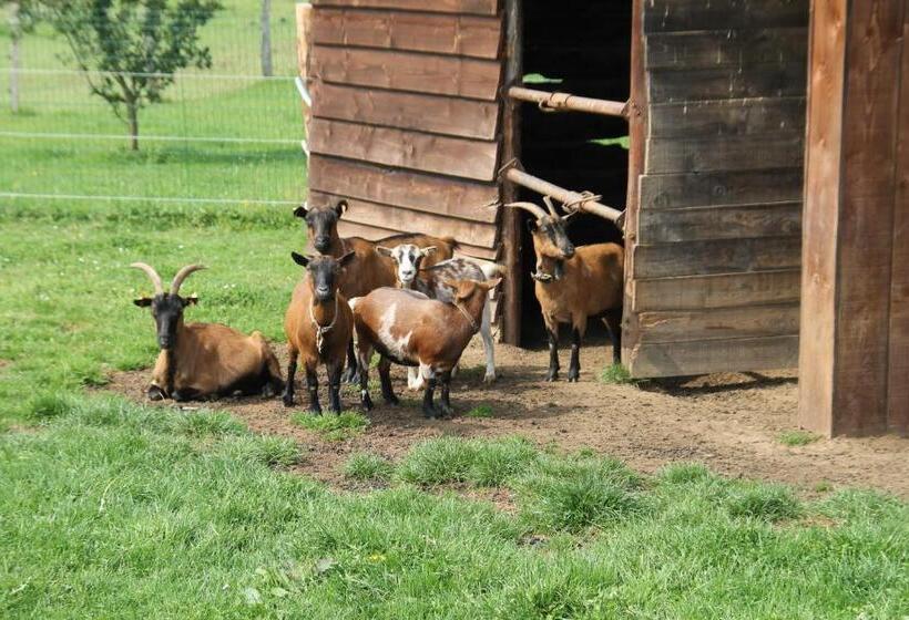 펜션 B&b Au Fil Des Saisons Sur La Wiels