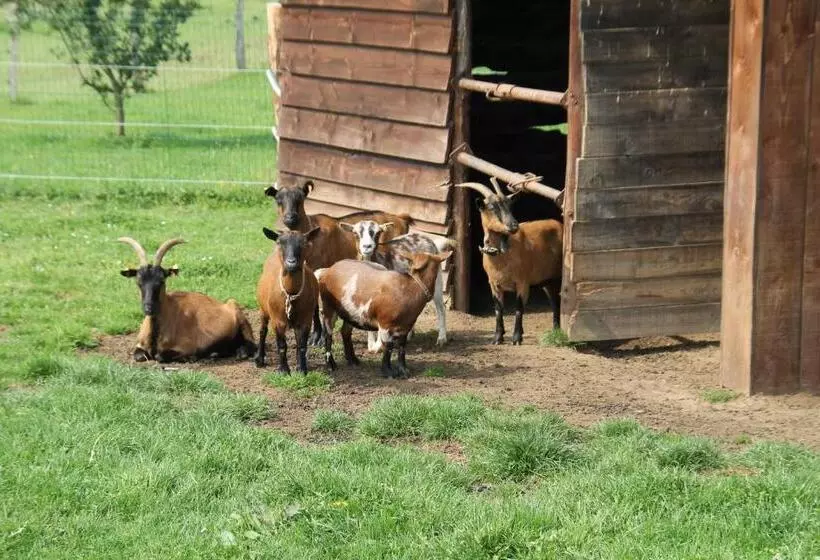 Majatalo B&b Au Fil Des Saisons Sur La Wiels