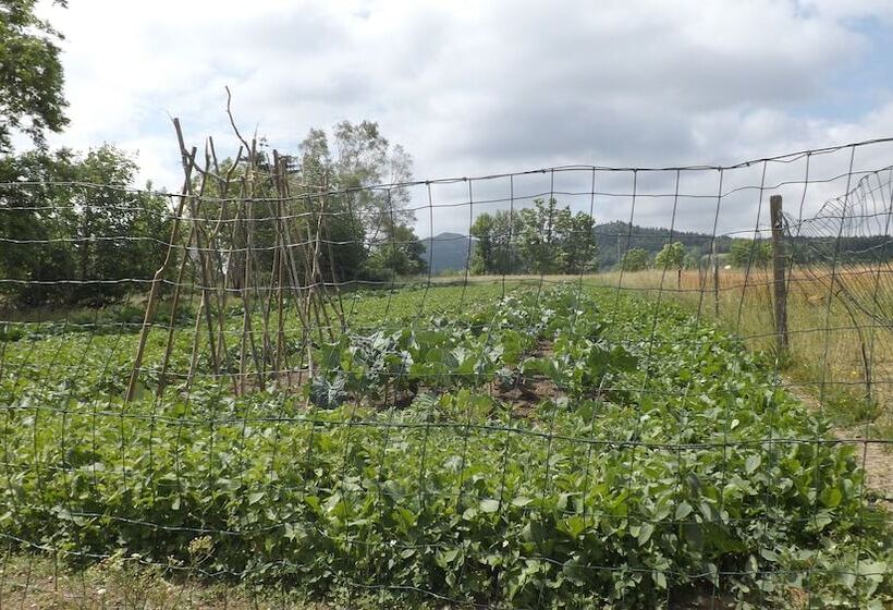膳宿费 Chambre Et Table D’hôtes Le Fougal