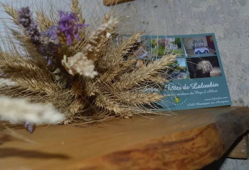 ペンション Chambres D Hôtes De Laloubin