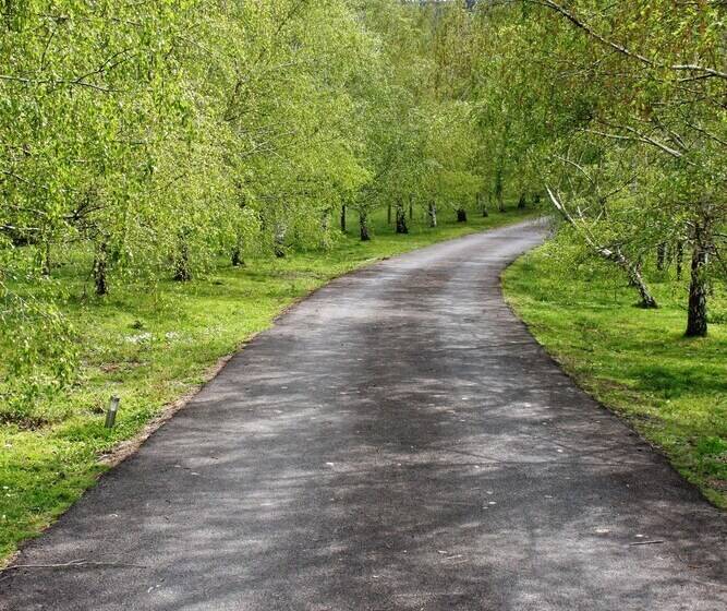 The Barn At Charlottes Hill