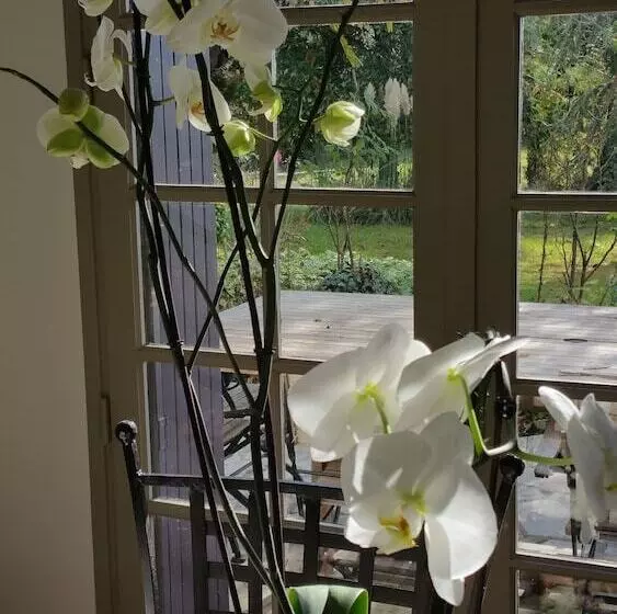 ベッドアンドブレックファースト Domaine Du Salabert