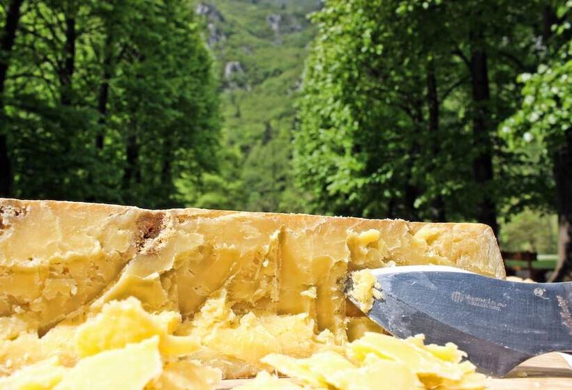 בית מלון כפרי Agriturismo Ferdy