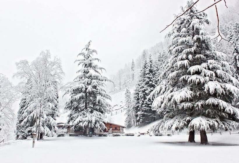 בית מלון כפרי Agriturismo Ferdy