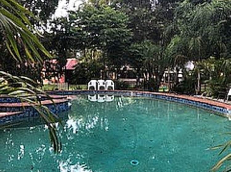 汽车旅馆 Nimbin Rocks Retreat