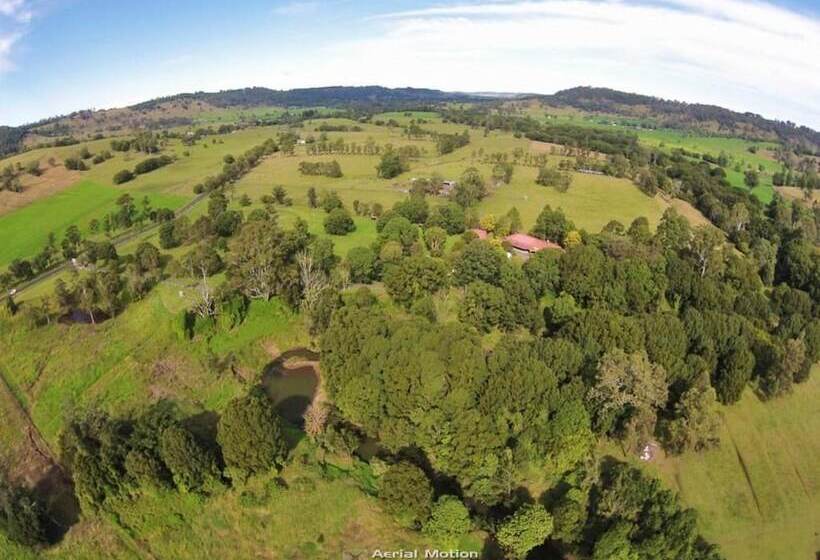 汽车旅馆 Nimbin Rocks Retreat